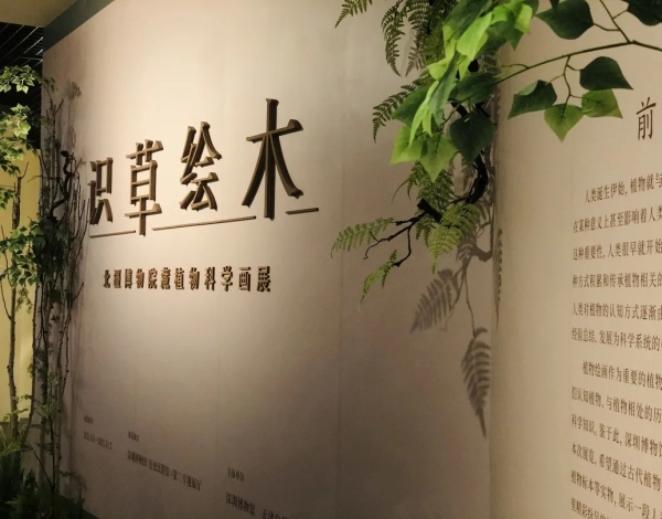 抓住暑假的尾巴，帶孩子感受博物館藝術(shù)的“光合作用”！
