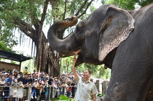 五一假期首日，深圳野生動物園動物科普講解吸引游客